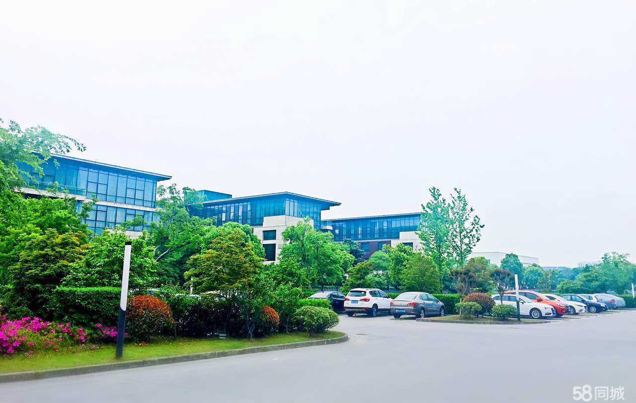 上海一日团建新地标：乐活营地全攻略(图1)